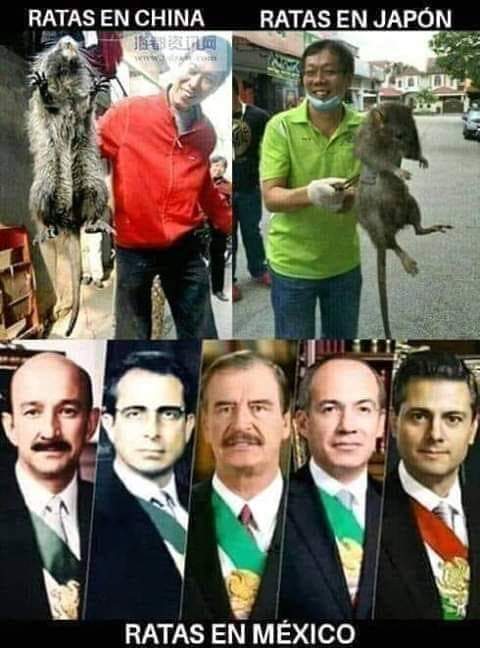ROLANDOCENTENO4's tweet photo. @RicardoBSalinas NO ES NOVEDAD..SIEMPRE NOS AN SAQUEADO. Y MAS. GACHO https://t.co/GGNxzzN5QB