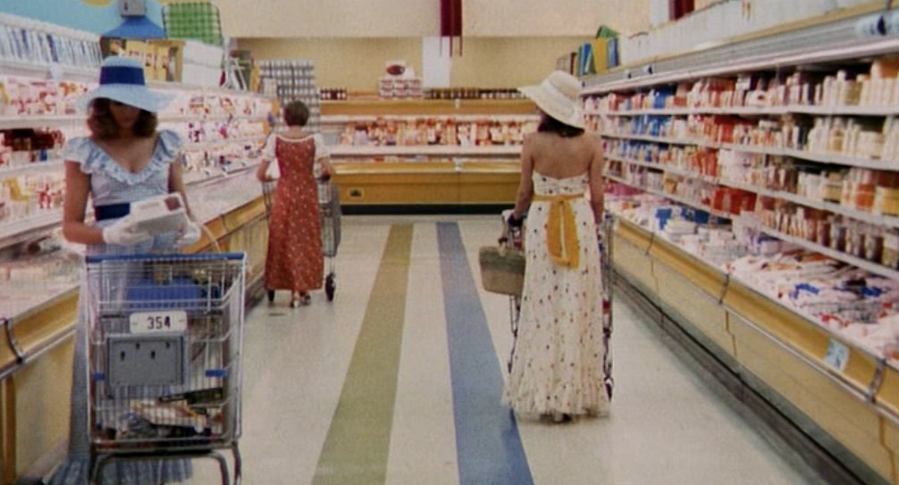 There’ll be somebody with my name and she’ll cook and clean like crazy but she won’t take pictures and she won’t be me. She’ll be like one of those robots in Disneyland. 
#IraLevin

The Stepford Wives (Bryan Forbes, 1975).