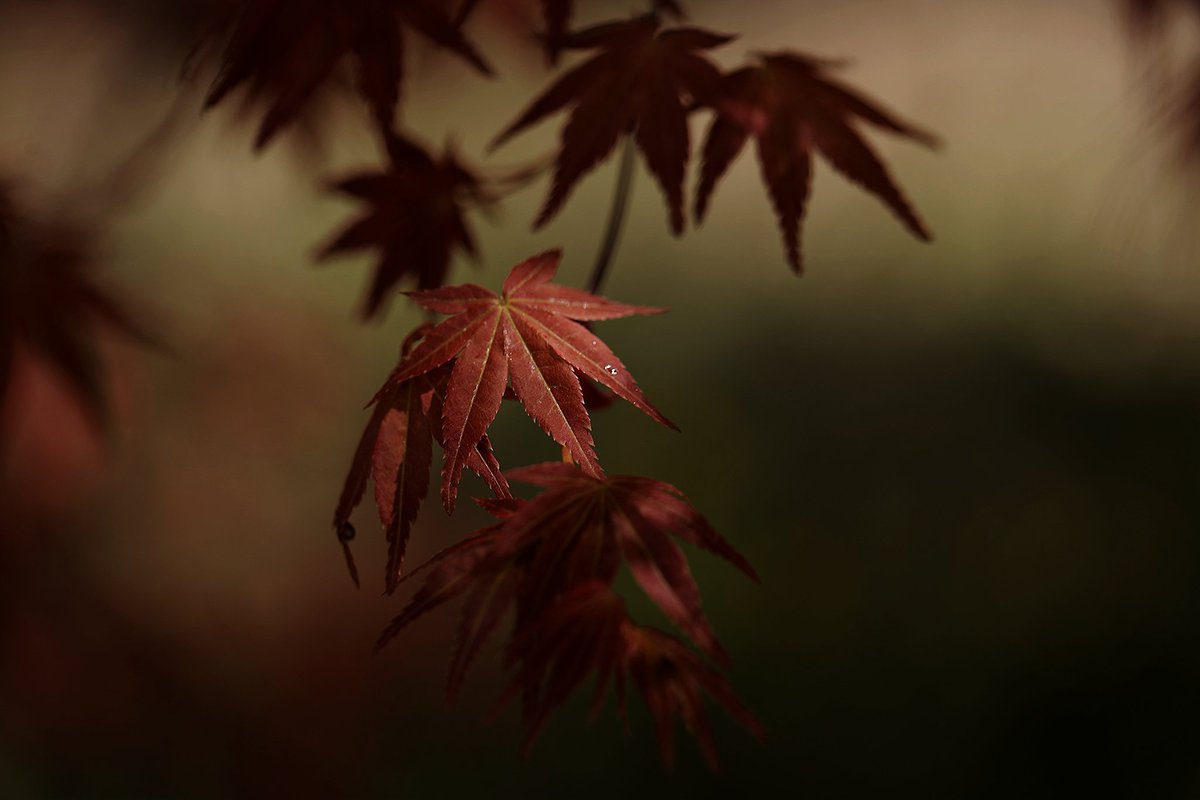 レタッチ勉強します🥲︎

 #CANONphotographer