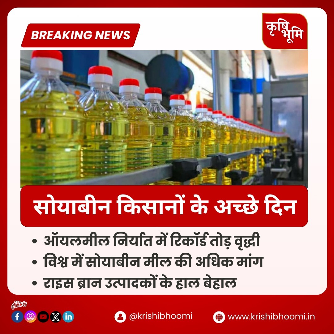 📰सोयाबीन किसानों के अच्छे दिन

krishibhoomi.in/good-days-for-…

#newschannel #news #latestnews  #trending #instagram #news #krishibhoomichannel #reels #soya #soybean #profitablebusiness