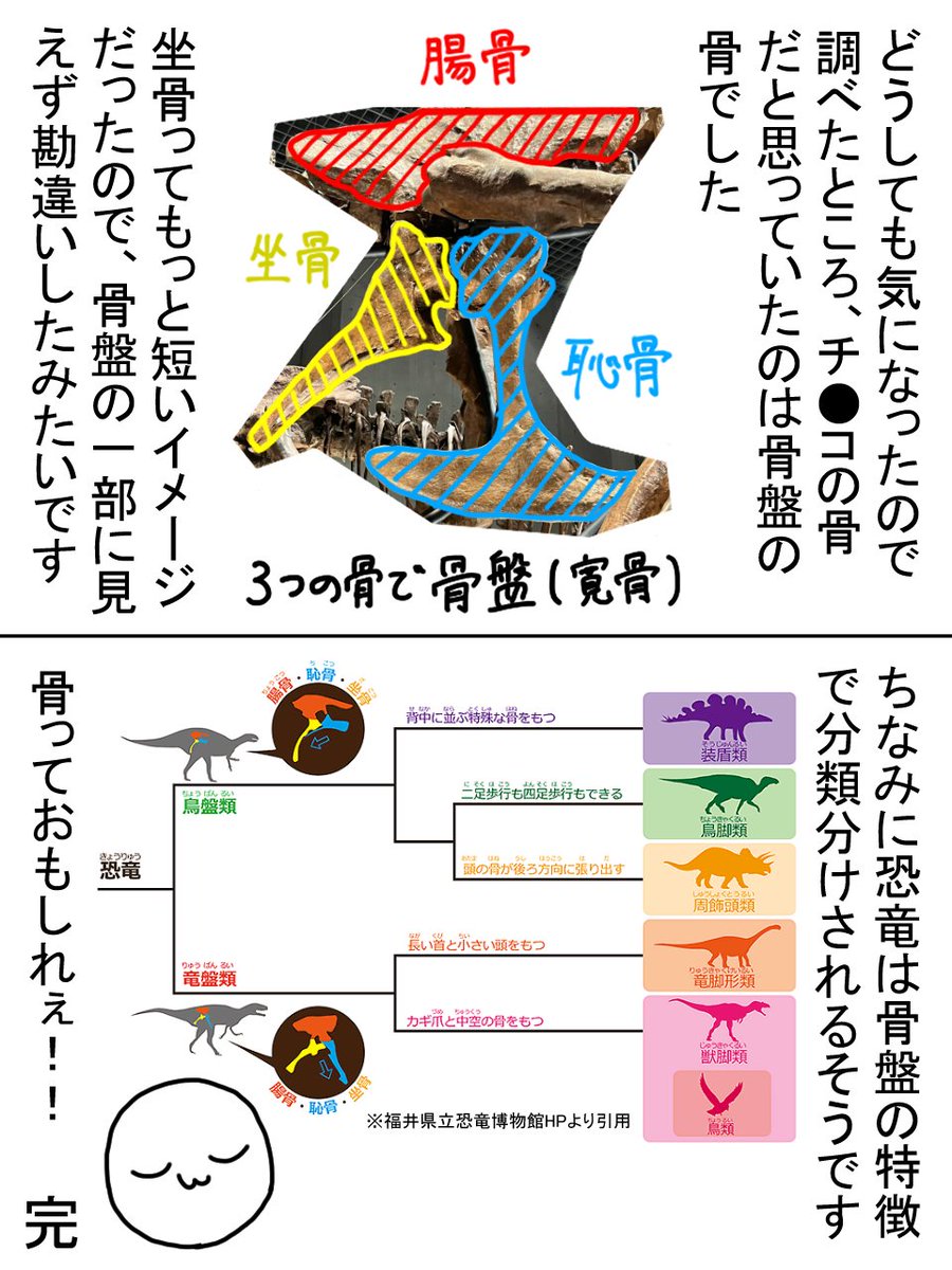 恐竜を見に行ったらチ●コに骨があった話