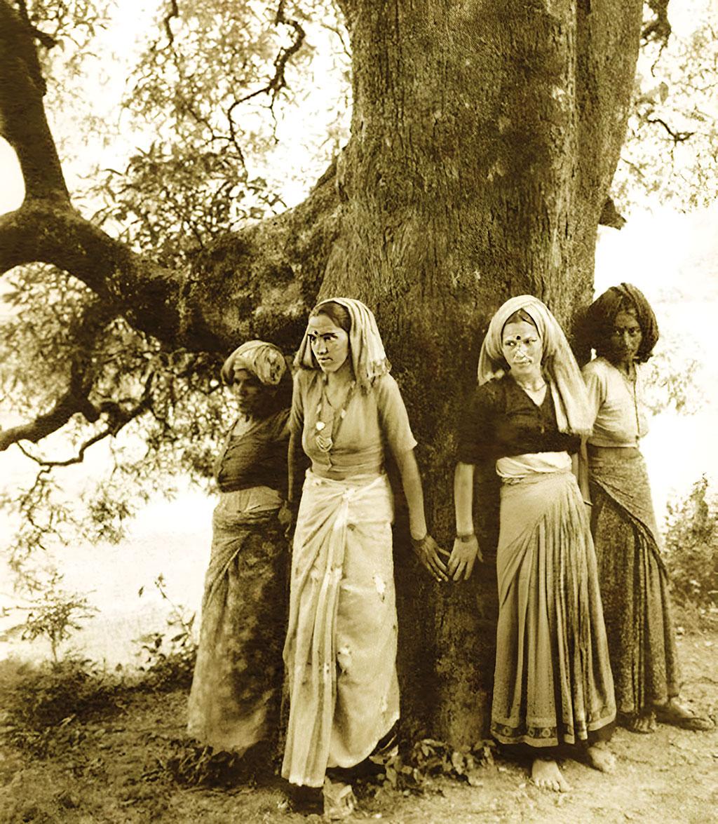 The women who led the landmark environmental movement of #Chipko in the upper Alaknanda Valley of undivided Uttar Pradesh (Uttarakhand today) 50 years ago, speak to @rajusajwan of @down2earthindia. #forests #Himalaya downtoearth.org.in/news/forests/c…
