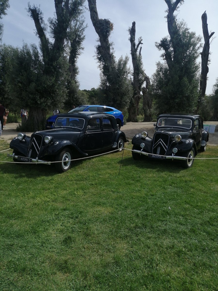 p2pc2e's tweet image. ...and this is a &quot;double chevron&quot; #Autopia style. @LuikeMotion @lastla