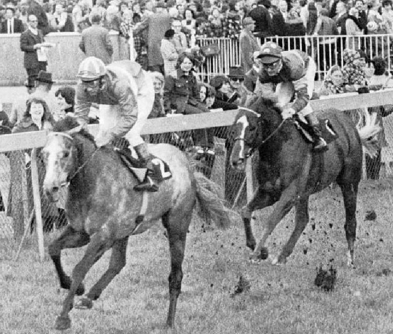 In March 1975, Grundy was kicked in the face by stable-mate Corby as he was led out of the covered ride at the Seven Barrows training establishment. Held up in his work, he reappeared in the Greenham Stakes, run on desperately heavy ground, and was beaten by Mark Anthony.