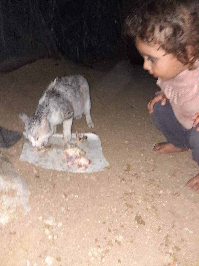 SARAMoh69489245's tweet photo. My friends,it’s certainly very hard to imagine how terrifying life is here in #Gaza💔😞It’s  urgent to leave #Gaza to have a chance of survival🆘 Your support  means the world to me🫶My sweetheart Maria is not well. I am so scared for her💔please help us🙏 https://t.co/U5dP4N3mmJ https://t.co/lHXNaNSR3R