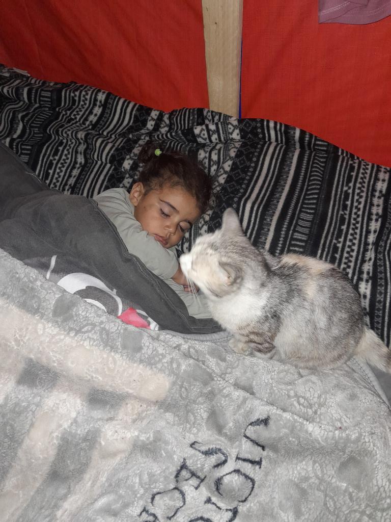 SARAMoh69489245's tweet photo. My friends,it’s certainly very hard to imagine how terrifying life is here in #Gaza💔😞It’s  urgent to leave #Gaza to have a chance of survival🆘 Your support  means the world to me🫶My sweetheart Maria is not well. I am so scared for her💔please help us🙏 https://t.co/U5dP4N3mmJ https://t.co/lHXNaNSR3R