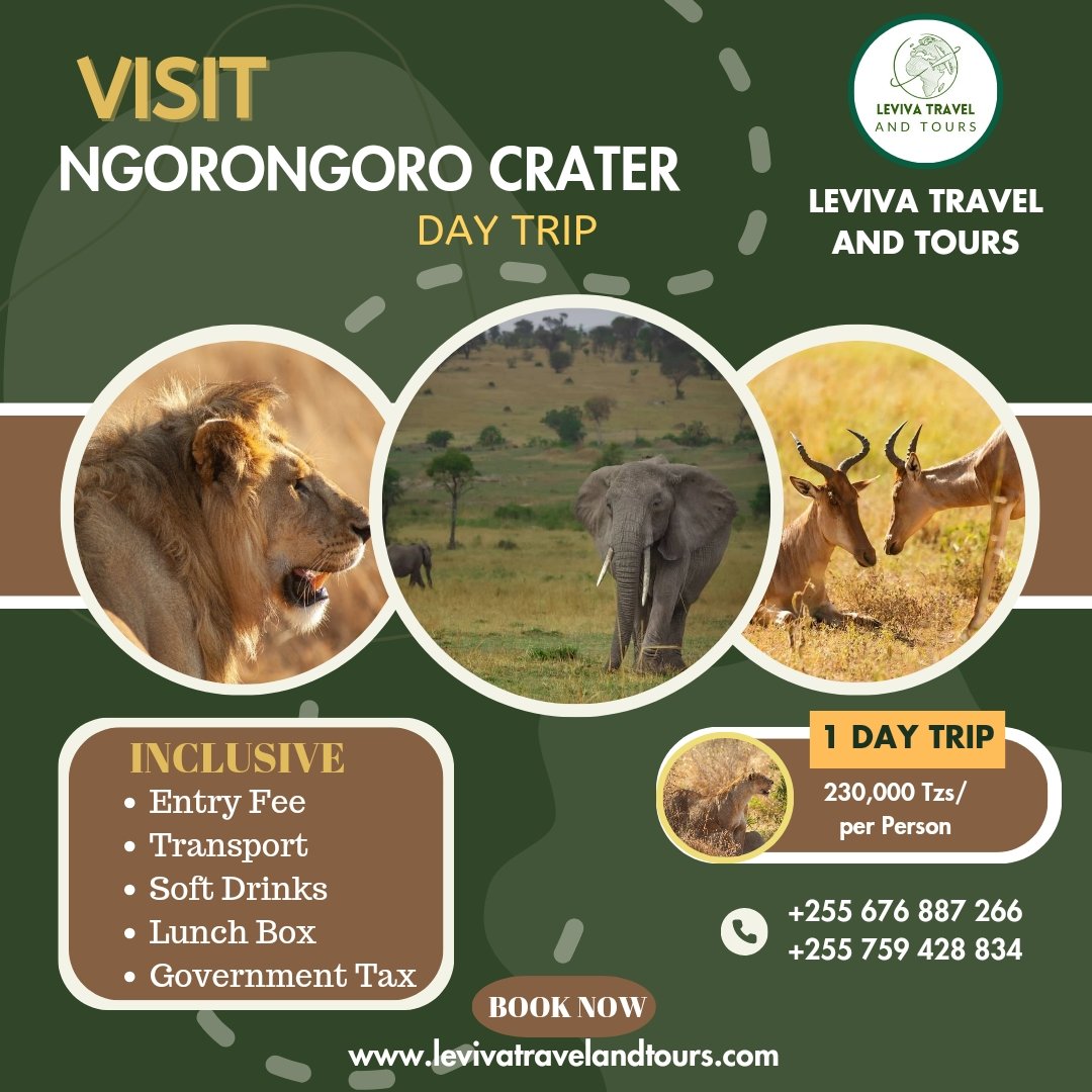 Explore the beauty of Tarangire National Park with Leviva Travel and Tours!

This stunning park is home to a variety of wildlife, including lions, giraffes, and many species of birds.

Contact us: +255 676 887 266 or +255 759 428 834