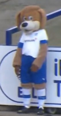 NathanRadcIiffe's tweet photo. @TranmereRovers @TRFCRoverDog 🐐 https://t.co/UkB329OPAQ