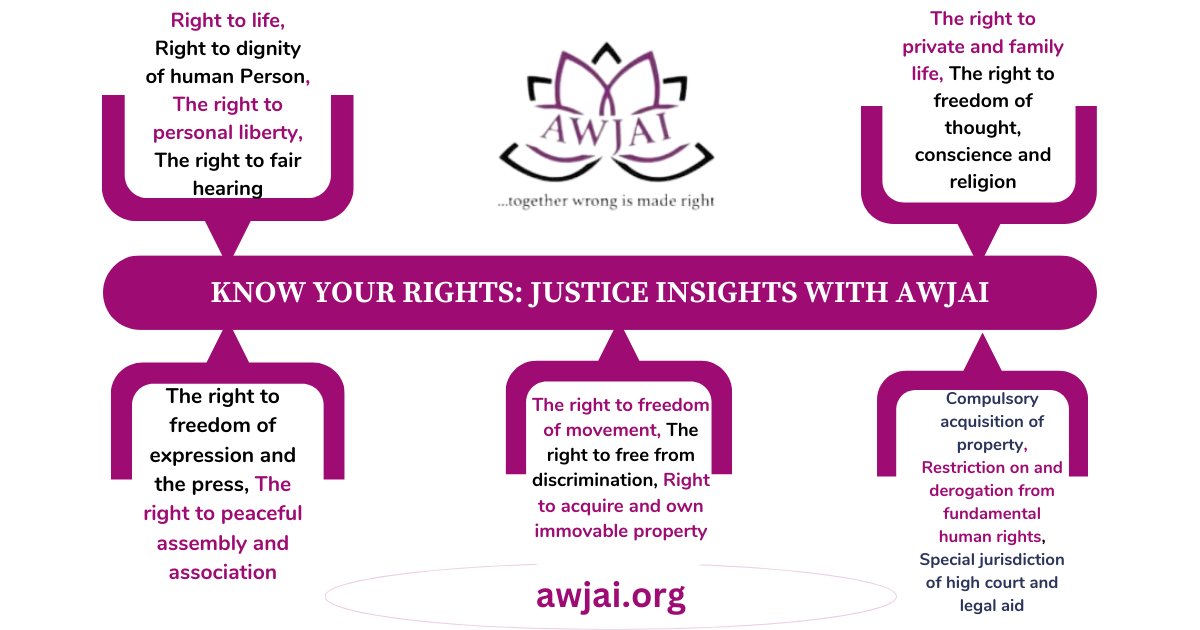 DO YOU KNOW THESE ARE YOUR BASIC HUMAN RIGHTS? #AWJAI #HumanRights Follow us for more insights on justice and civil rights.