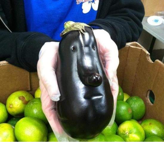 Say hello to Mr. Brinjal