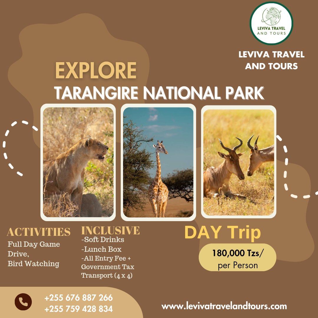 Explore the beauty of Tarangire National Park with Leviva Travel and Tours!

This stunning park is home to a variety of wildlife, including lions, giraffes, and many species of birds.

#Tanzania #Africa #Safari #DayTrip #Wildlife #Adventure #Travel #LevivaTravelAndTours