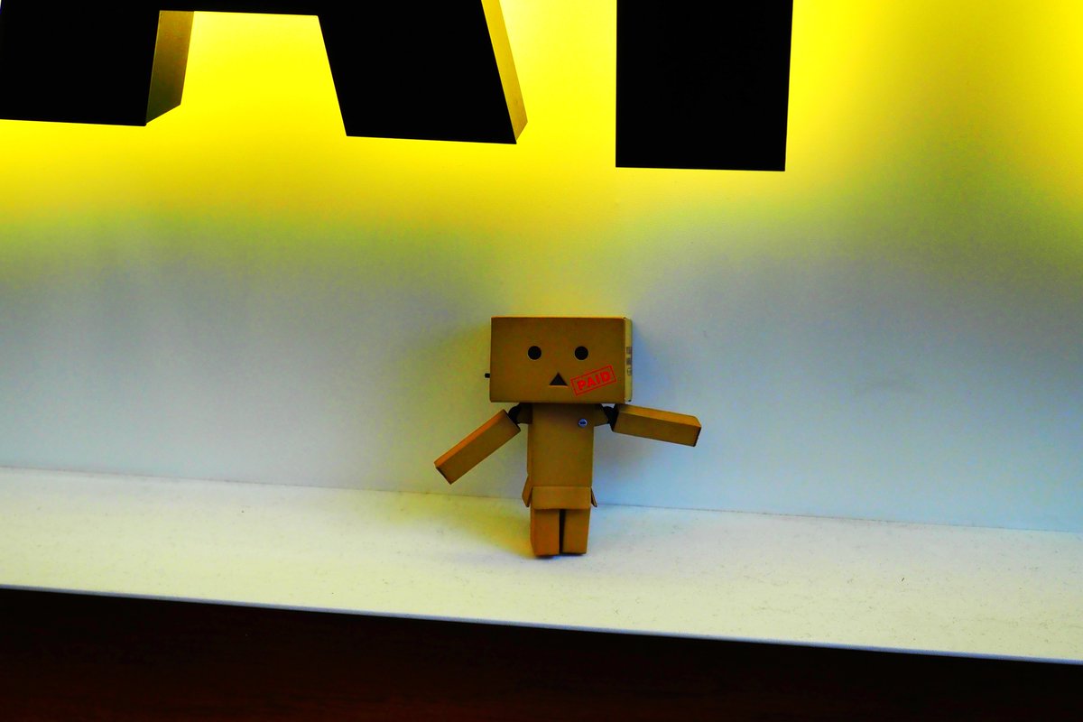 #ダンボー #danbo #ダンボー写真部