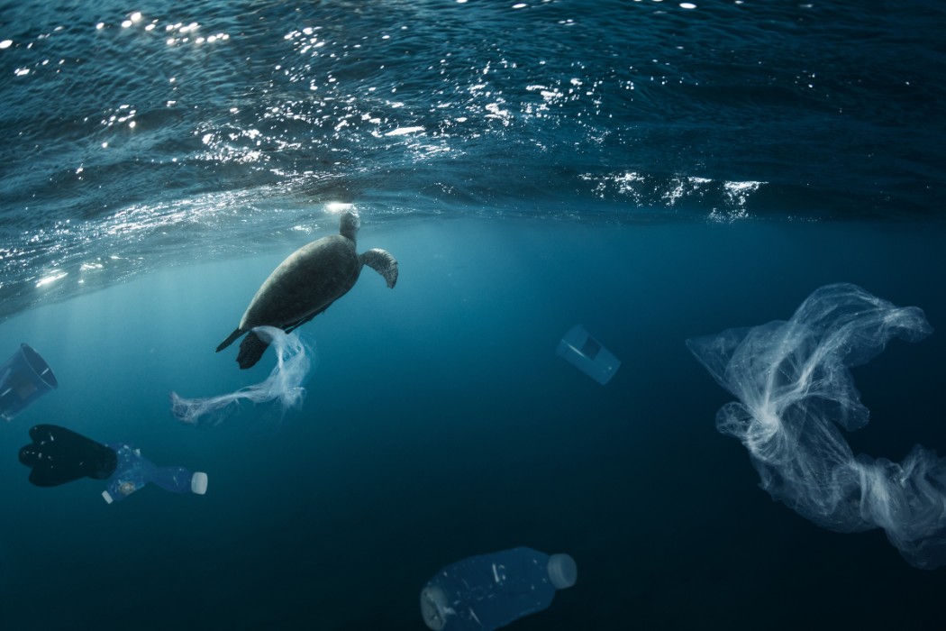 Our #oceans are now overrun by #plastic. Many #marine organisms get physically entangled in plastic waste and either drown or starve to death. Others eat the plastic, mistaking the materials for food. Sea turtles often confuse plastic bags for their jellyfish prey and asphyxiate.