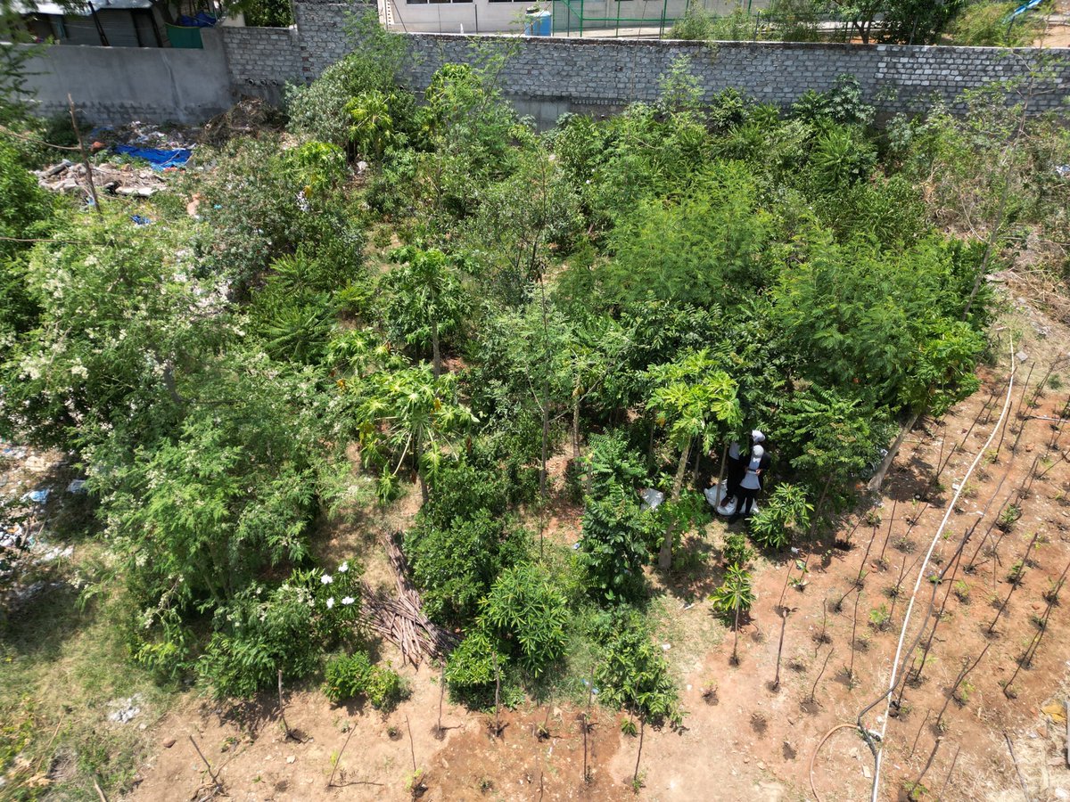 Thuvakkam's tweet image. Thuvakkam & Firstsource worked to restore the lake's ecology by planting 1,200 saplings in a 6,500sqft area near it. In addition, different restoration efforts are being carried out to maintain the lake, making it a focal point for community engagement and environmental awareness