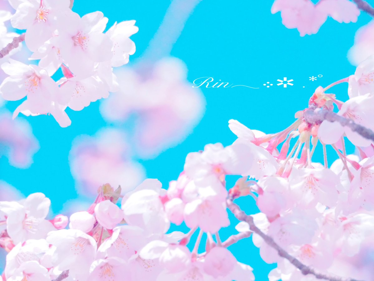 oneday_onelife8's tweet photo. 大切なあの人の心を

どうか
ずっと
見守り続けてあげて下さいね

ずっと
優しく包み続けてあげて下さいね

そして

どうかどうか
送り続けてあげて下さいね

有余るほど
温もりの詰まった

「頑張りぃよ」のその言葉を...

遥か遠き蒼の空の彼方からも

          桜色の時の雫と化した御方へ

 #今日の日に託す想い