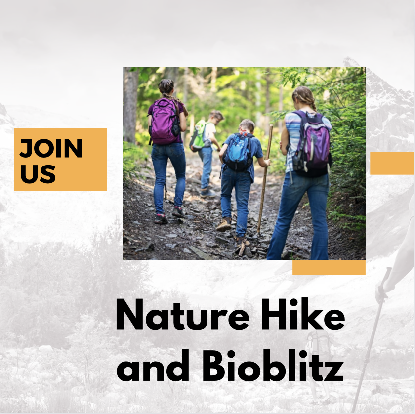 Nature Hike and Bio-blitz🚶🏼 Celebrate Earth Day all Month Sunday, April 28 at 4 p.m earthandspiritcenter.org/class/hike-and… Participate in the 2024 iNaturalist City Nature Challenge Bioblitz Led by Tim Darst, we explore the trails and gardens, capturing photos & identifying plants and animals.