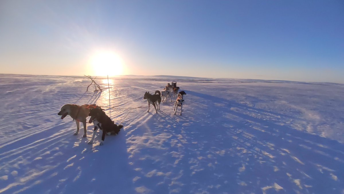 Nanouak's tweet photo. Direction klubbvika ! Top conditions pour ce fin avril ! 50 kms -15 sur les hauteurs ! La nuit c'est fini maintenant ici ! Jour permanent, bientôt le soleil ☀️ de minuit ! ☺️ https://t.co/k4wmkGGW02