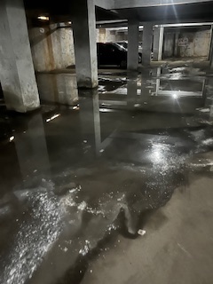 PMallavadhani's tweet photo. @HMWSSBOnline,@hmwssbgmom05,@Hmwssbdgmchkgud,@PAtoMDHMWSSB Can#613242370 Reversal of drainage and causing chocakge incustomer premises,blockage in the BusBhavan/Musheerabad area, it is clogging the main line. Please clear it ASAP. https://t.co/6nIDkWcQjM