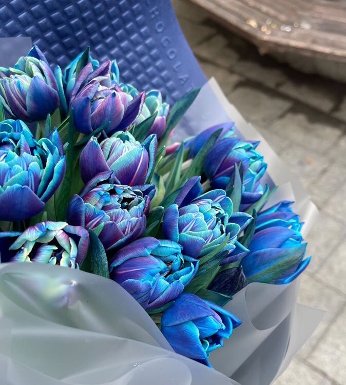 violettweets_'s tweet photo. galaxy tulips. https://t.co/zuzQU8GidL