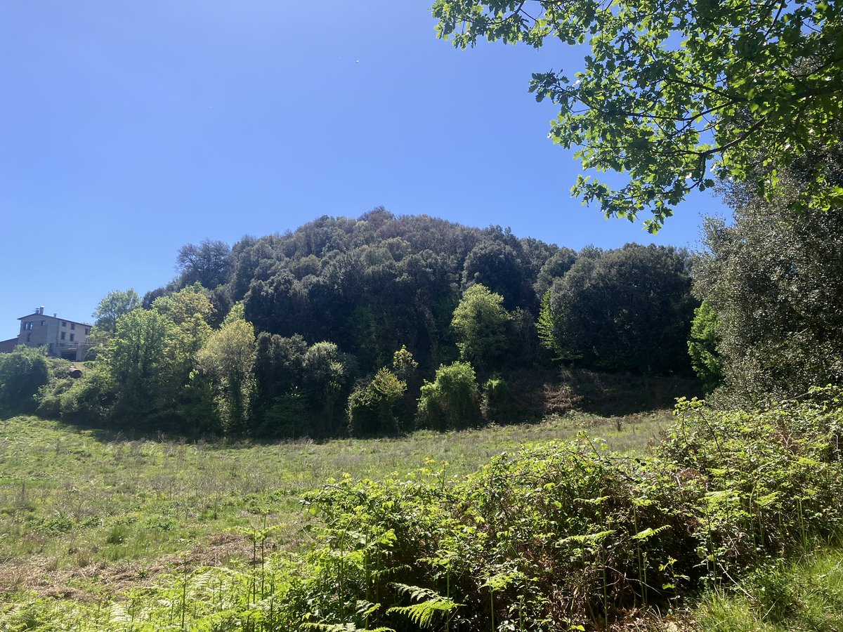 There are, in the Garrotxa Volcanic Park, about 40 volcanic cones, 10 craters and over 20 lava flows. Let’s see how many I can tick off over the next few days. First up is Volcà de Racó (610m).