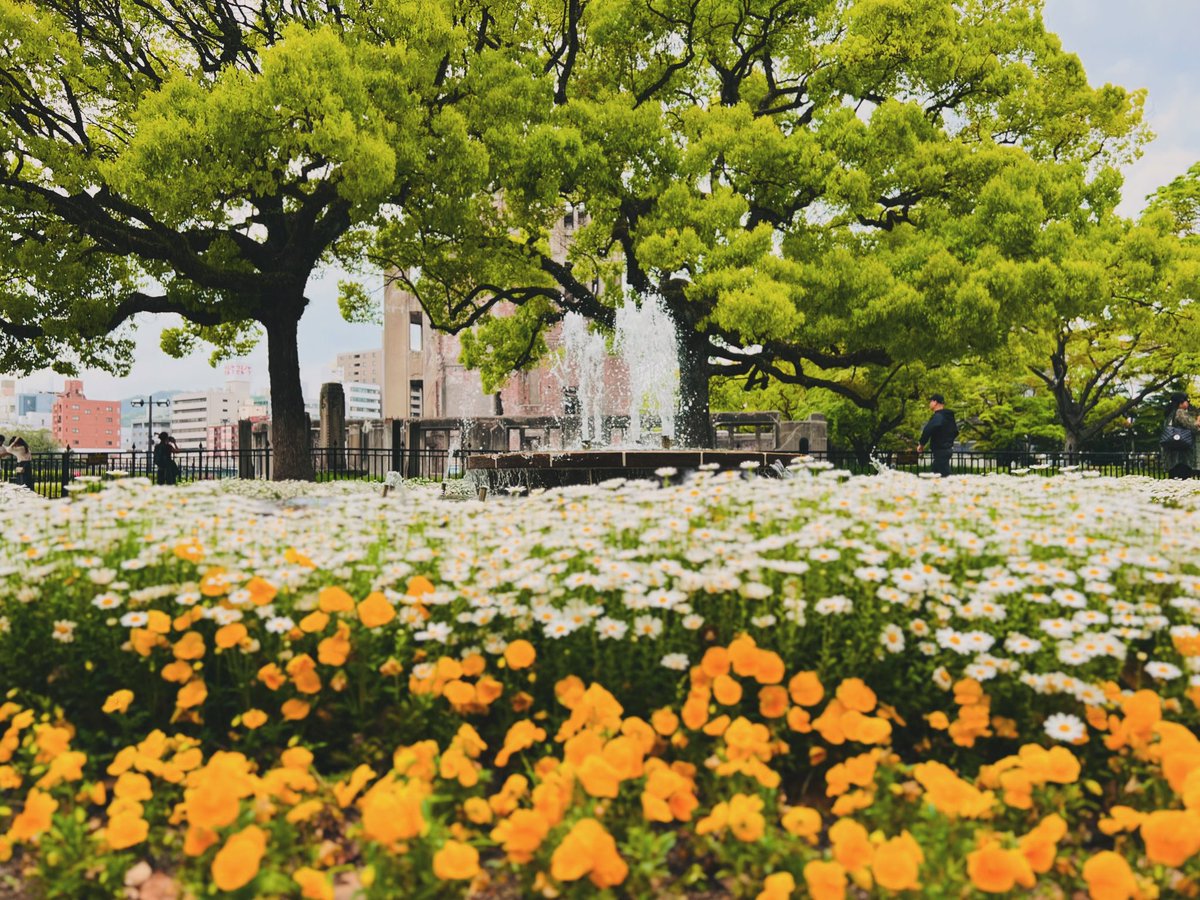 At Peace Memorial Park, there are water spots throughout the park dedicated to those who were craving water after suffering burns. The fresh greenery is stunning right now. Come see Hiroshima's history, resilience, and recovery.

#hiroshima #peacepark #tourguide