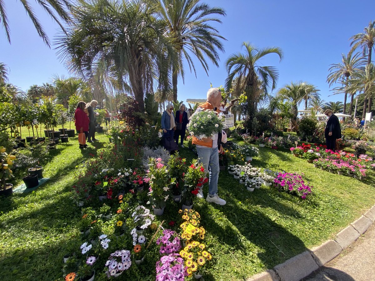 Flore Passion
Allez-y ne serait-ce que pour le plaisir des yeux
C’est jusqu’à demain en face de Bijou Plage
Ayez une pensée pour la beauté des espaces publics de #Cannes et pour les initiatives de #MairiedeCannes pour encourager les particuliers à composter, jardiner, se fleurir
