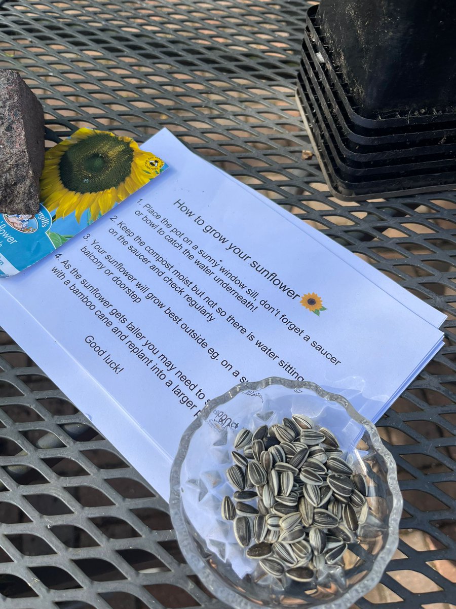 Come along to Olden Community Garden and plant a sunflower seed. The Garden is open until 16.00 today. Bring your parents. # Islington #Highbury