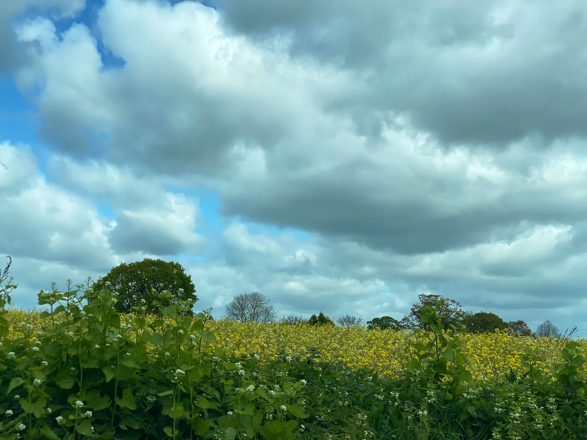 Another blustery day - makes for a great cloudscape.