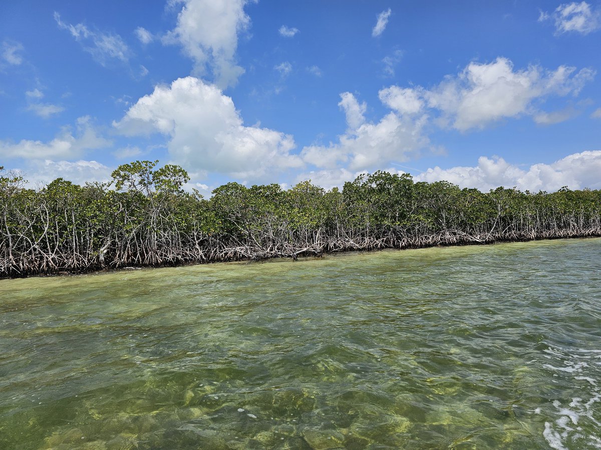 Kory Konsoer tweet media