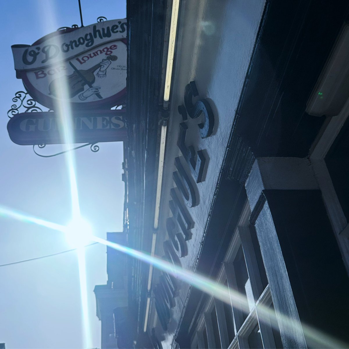 Surprise visitor this morning ☀️😎