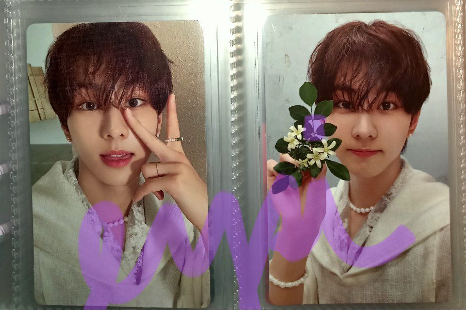 twinxlestrcart's tweet photo. {wts lfb ph} #eysisells

  ^.^Jungwon kalpa [set only]^.^

__1150 + pf + sf 
__50% nrdp/rembal 5 days after dp
__dm to claim
__both good condi / x sensi
__onhand

🚚: j&amp;t /ggx/sdd (merto manila)
💰: gcash / maya
📍: Makati City

🏷️:jungwon orange blood ksana pc https://t.co/PqLjEVo1iM