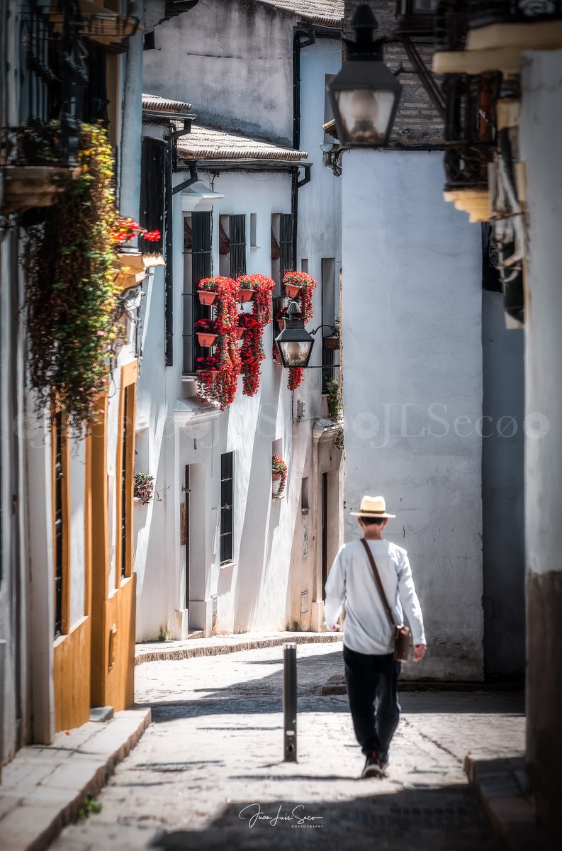 Córdoba, la eterna primavera... Rejas y balcones de la Calle Rey Heredia.
@Cordoba_spain @CordobaESP @VerCordoba @TurismoAndaluz @viveandalucia