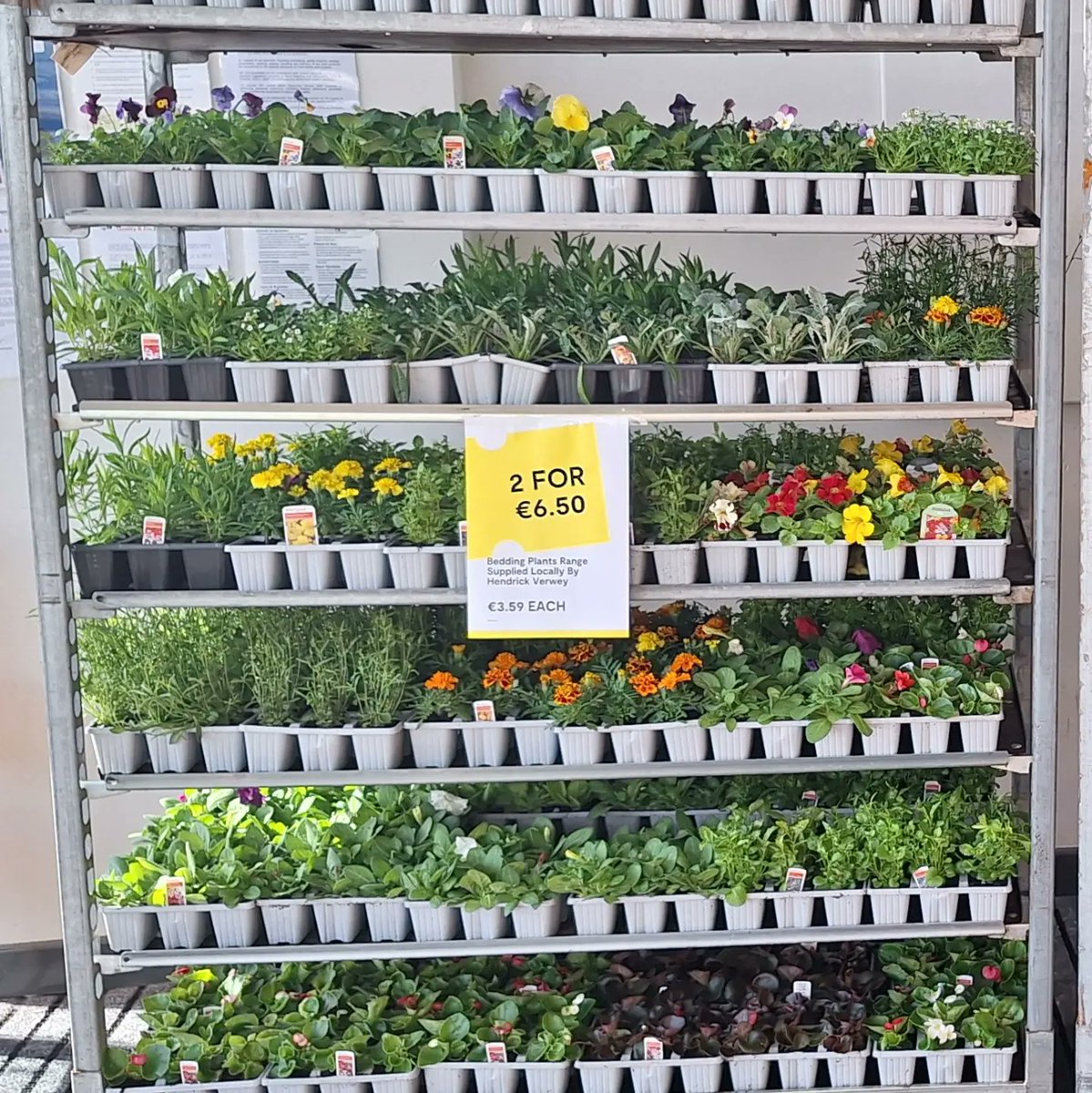 Bedding Plants Now Instock 🪴🪴🌼🌸 Mix & Match Any 2 For €6.50 Delighted to stock large range of Beddng Plants by local Grower Hendrick Verwey🙌🙌 #localsupplier #shoplocal #Cobh