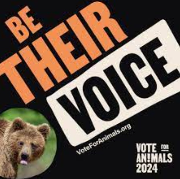 16. Converts Zoos into Rescue Centers 17. End Zoo Tourism 18. End Over Tourism in Wildlife 19. 20 years Prison to Poachers 20. Air Fire Brigade for Forest Fires (Helicopters) 21. No Construction of Roads through Forests 22. Increase Animal Crossings on Highways More 4/6