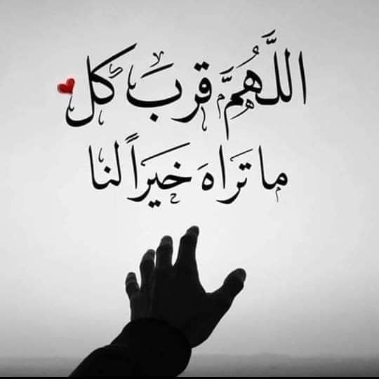 معمر tweet media