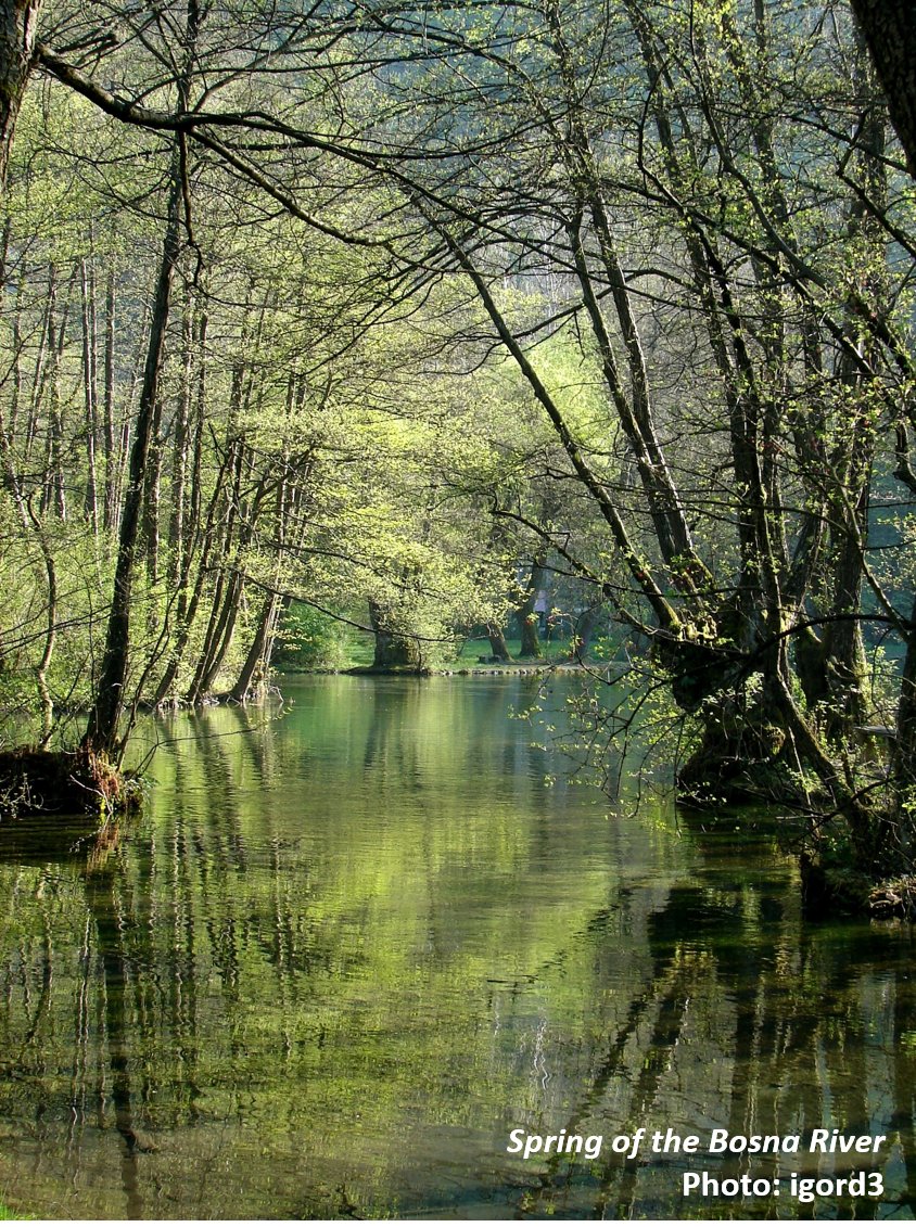 The Bosna River Spring (Vrelo Bosne) is a beautiful place where the calming sound of water and the soothing presence of trees come together to create an oasis of tranquility.