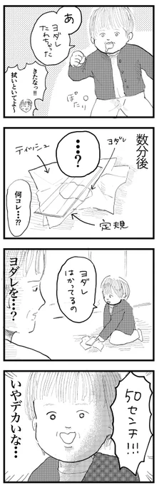 息子の奇行シリーズ 
