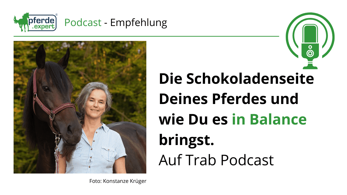 Neue AUF TRAB Podcast-Folge:
Die Schokoladenseite Deines Pferdes und wie Du es in Balance bringst.
👉Jetzt anhören 
pferde.expert/blog/die-schok…