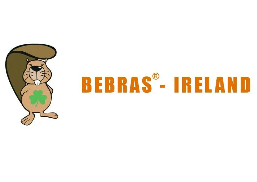 Best of luck to our 7 Junior Students and their teachers Mr. Flynn and Mr. Maher as they part in the Bebras Computational National finals in Maynooth today