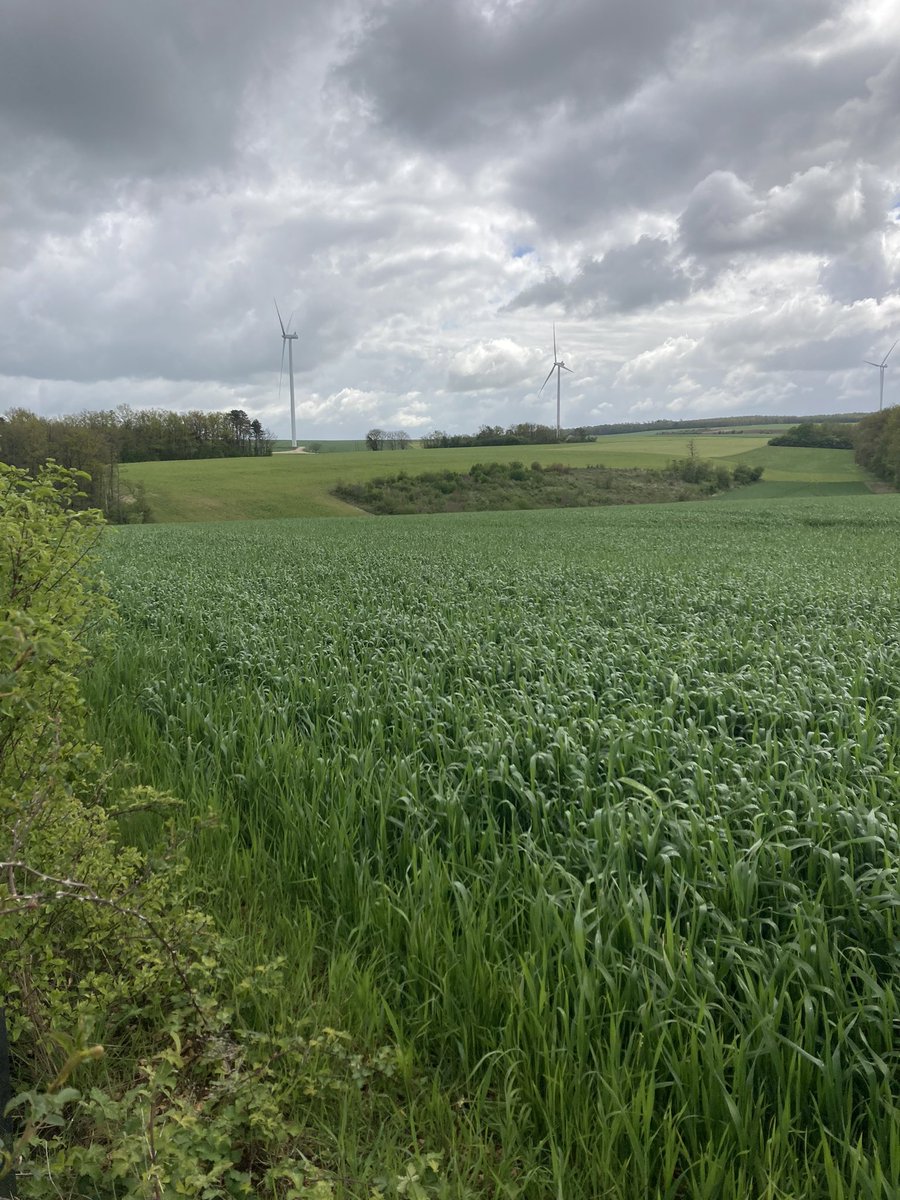 Emmanuel BONNIN tweet media