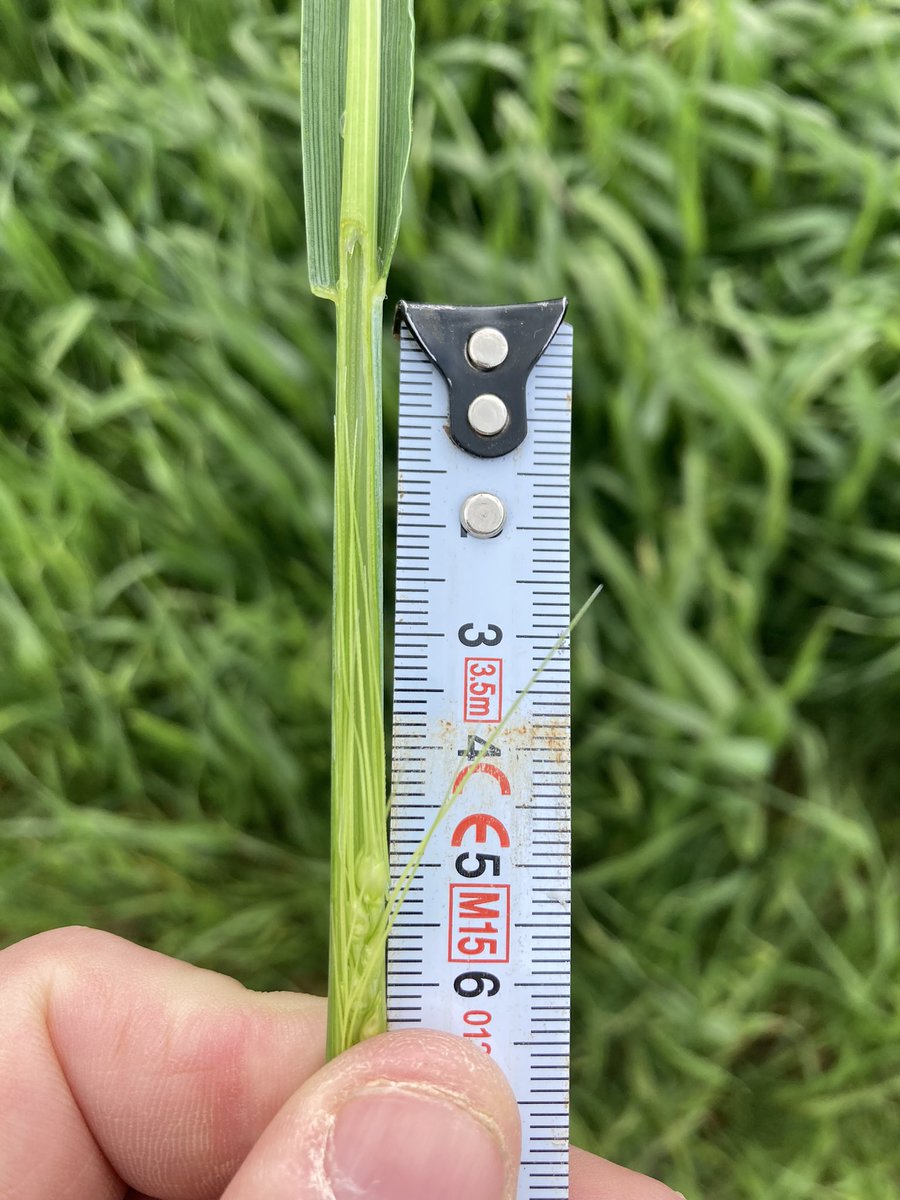 Emmanuel BONNIN tweet media