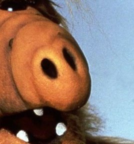 Dyerbolical Horror (☥𝐃𝐁) tweet media