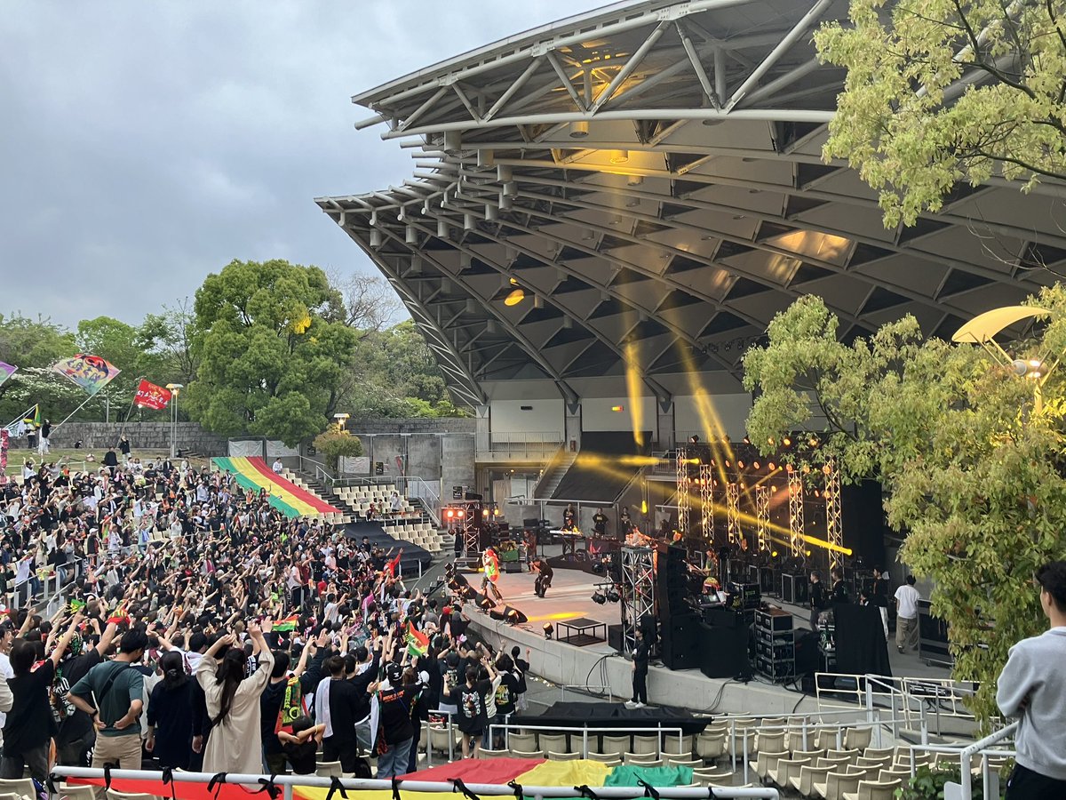 ℝOB!ℕ. tweet media