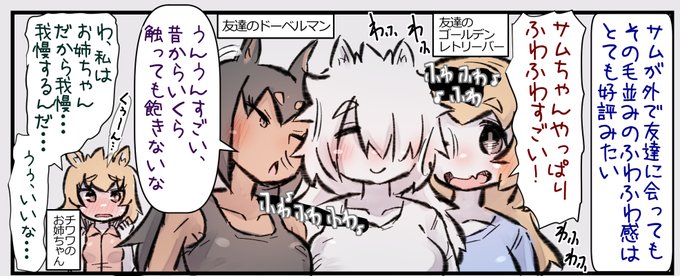 ふわふわでぽやぽやのサモエドちゃんと近所の友達犬 