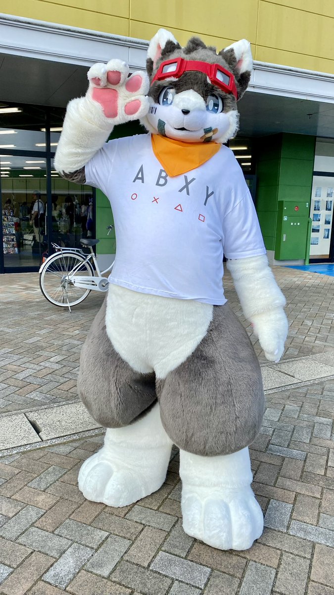 migawari_poko's tweet photo. いぬがみ犬汰くん(@inugami_kenta )
Vtuberとしても活躍してることで前々から注目してたコ!
顔つきの可愛らしさもぽっちゃりしたお腹もとても好きです🥰
#STUDIO643
#着ぐるみ300匹でmela踊ってみた https://t.co/DJQCZ0RtxS