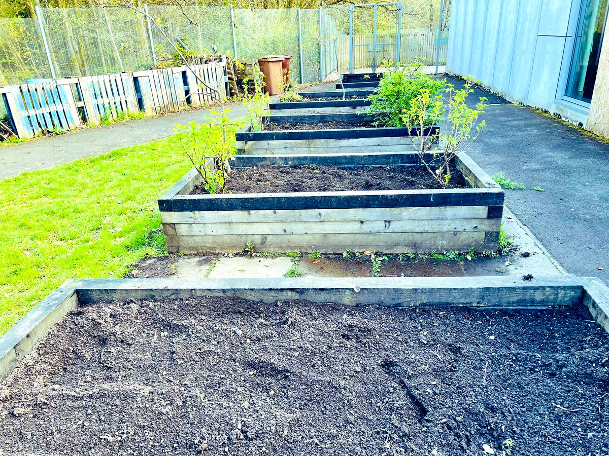 Fridays @Kilpatrickscho1 are all about #DYW developing the young workforce. This week our gardeners weeded and tidied up 8 raised beds in preparation for @KSBScotland @EcoSchoolsScot #OnePlanetPicnic