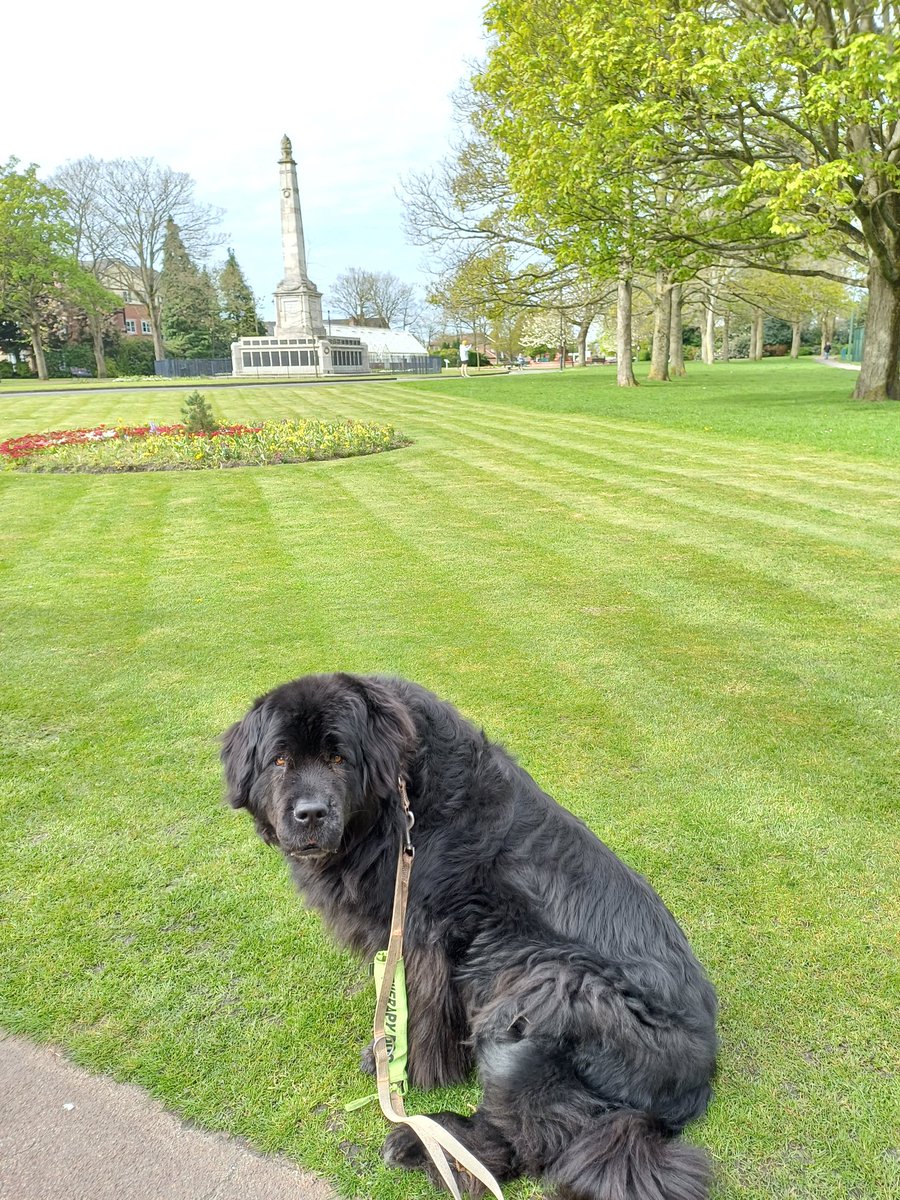 burrowingbolt's tweet photo. Lovely walk in #VictoriaPark #widnes this morning, such a beautiful park, well maintained by @HaltonBC & well used by the community , lovely to see families enjoying the good weather 😁🌳🐕👨👩👦👦👨👩👦😁 #familytime #parklife #spring #uk #northwest #Britain #halton #HaltonBC https://t.co/c7T78k07n9