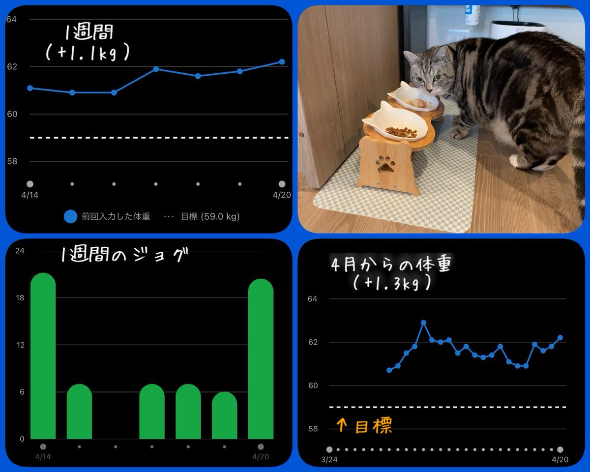 4月から始めたこと
1.ストレッチ
　ストライド伸びたら良いな〜
2.ダイエット
　1年半で約2kg太ったのでダイエット開始🔥
　なぜか20日で1kg太った😭トータル3kg😞
　今週は平日も走ったのに😭
　理由はお菓子食べ過ぎって分かってる😅
今年度はこの2つを頑張ろう❗️
#ストレッチ
#ダイエット