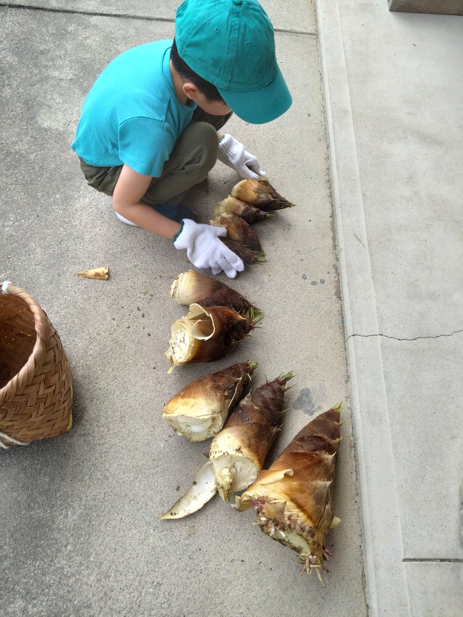 今日はお墓参りと筍掘り⛏️
かごを背負って山を登る子どもたちの溢れる田舎感😊
天気も良くて筍もいっぱい採れて楽しめました😋