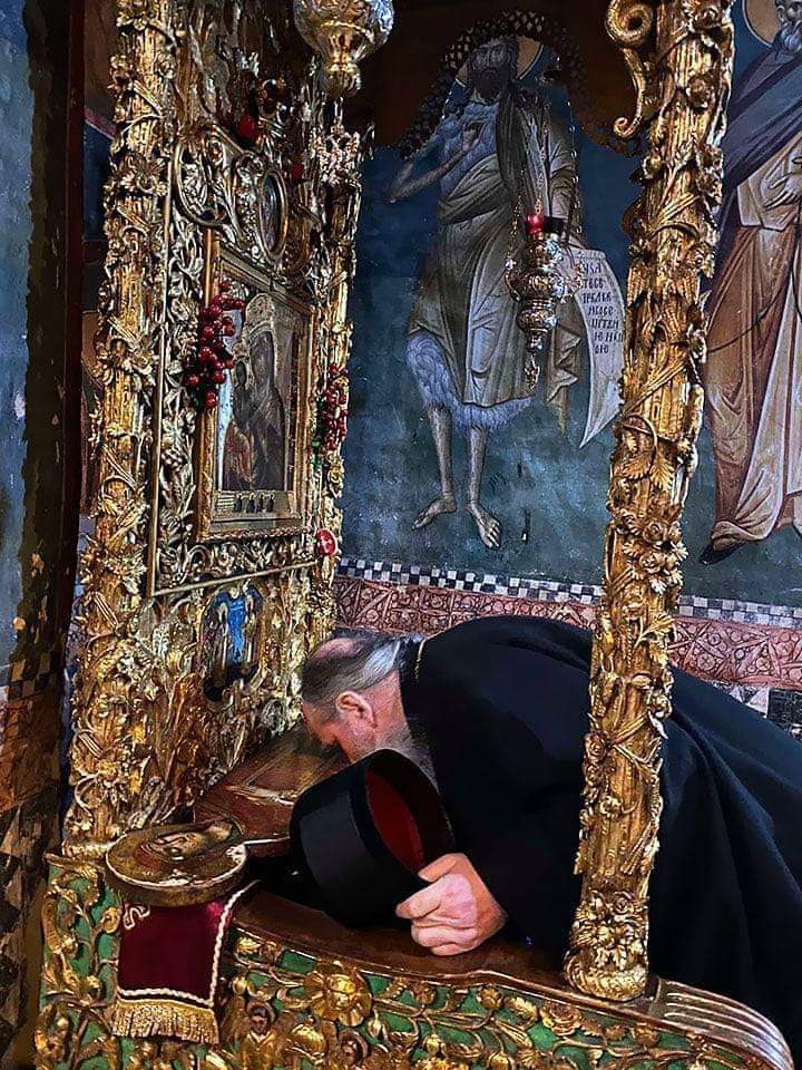 Сандра tweet media